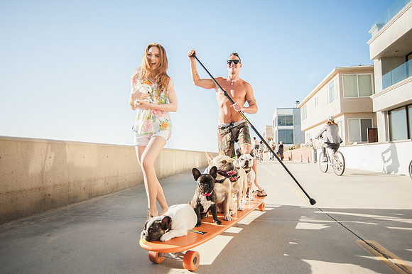 Playful lifestyle photograph of two people with small dogs gathered around a skateboard near the beach.